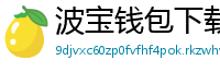 波宝钱包下载教程